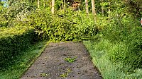 Schaden auf dem Weg zur Kapelle
