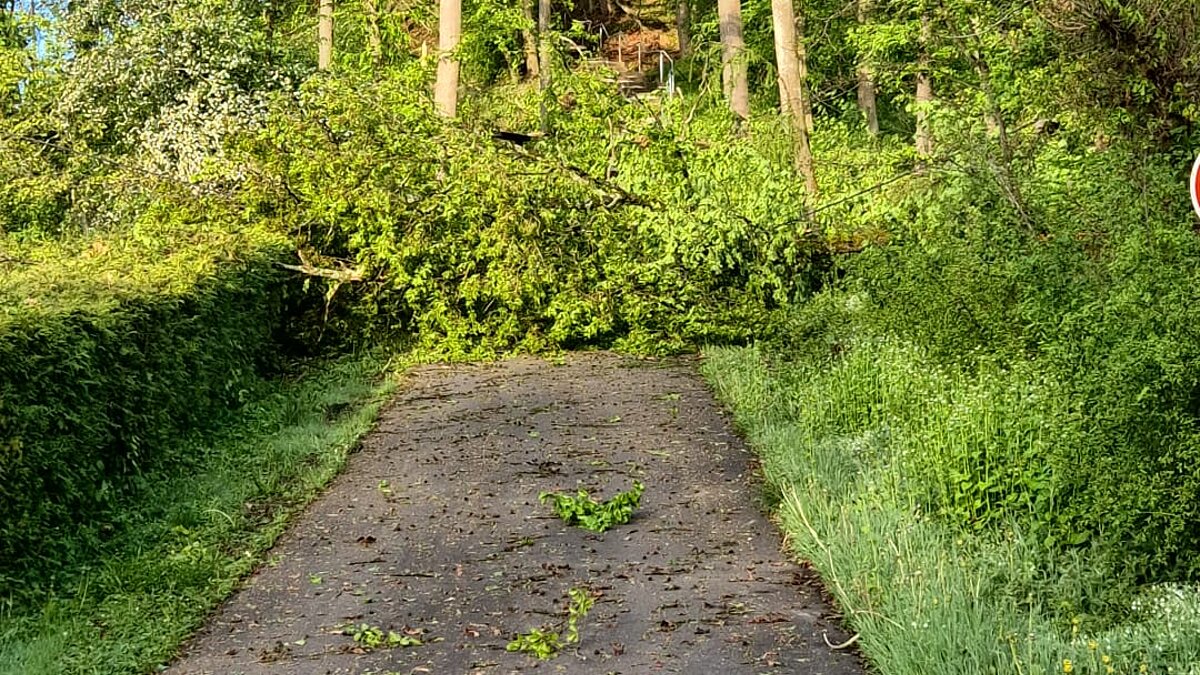 Schaden auf dem Weg zur Kapelle